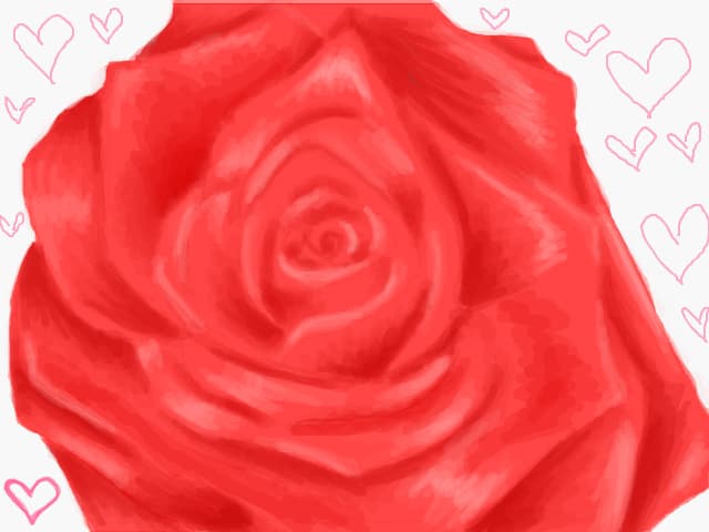 rose
