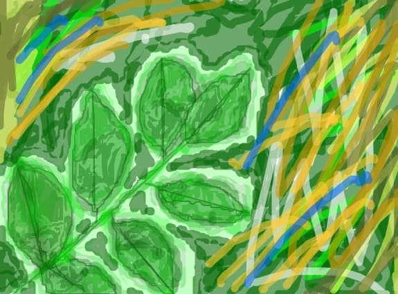 natura