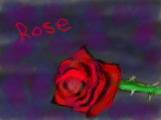 rose