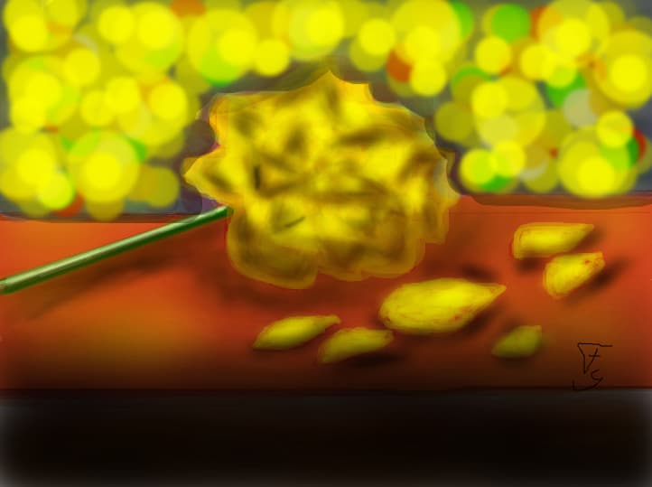 Rose Yellow