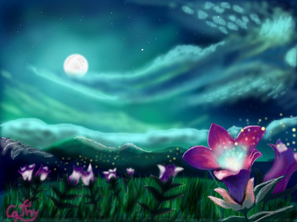 when the night falls....