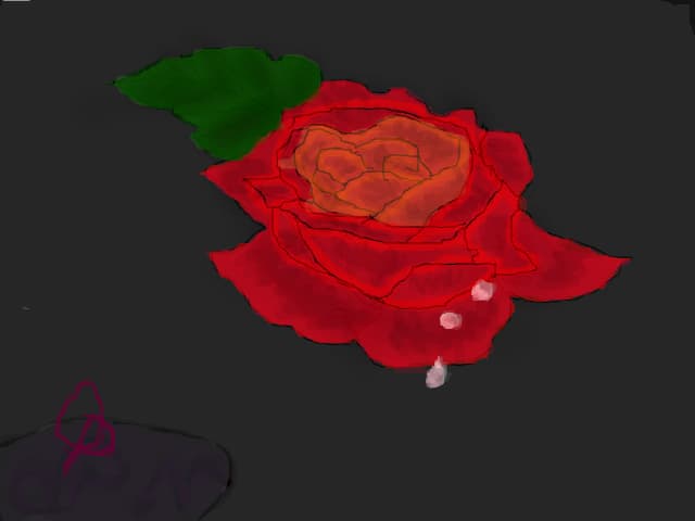 rose