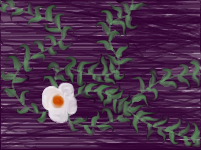 O floare.