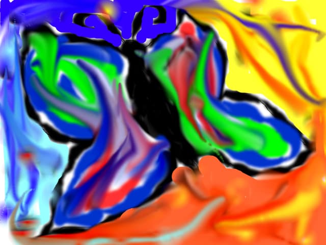 butterfly