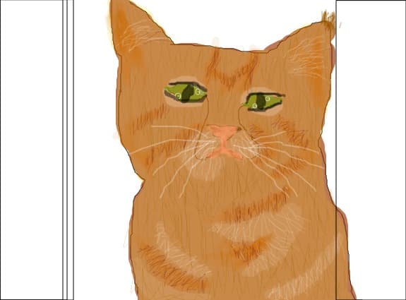 cat