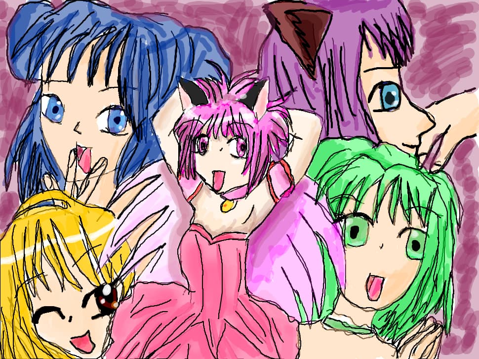 pt concursul lui ranko chan