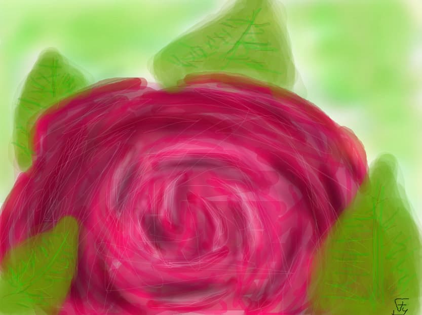 Rose.