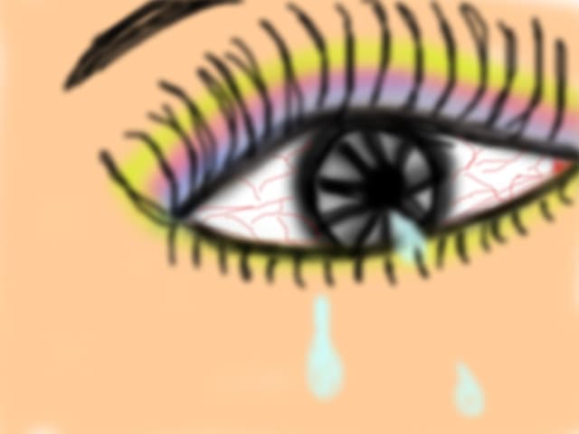 THE EYE