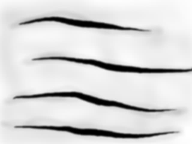 zebra...