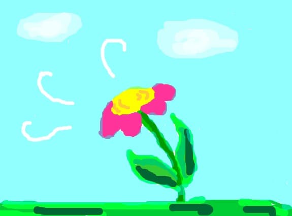 o floare