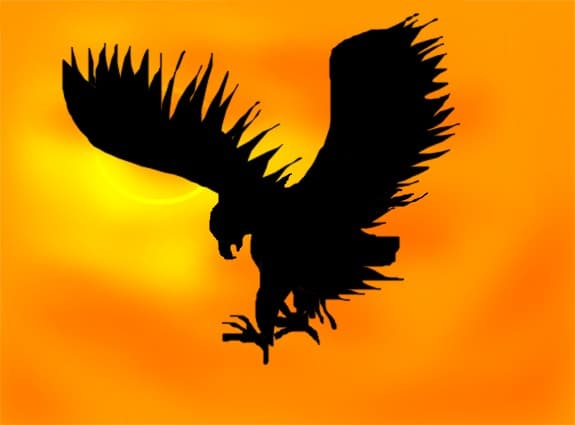 eagle