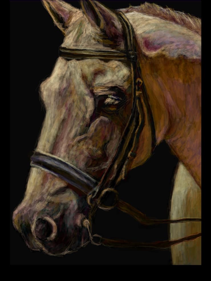 Horse