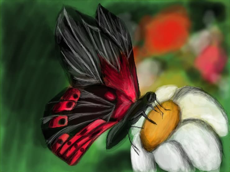 Butterfly ^^