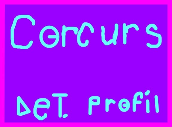 Concurs