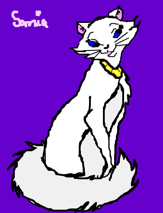 ducessa