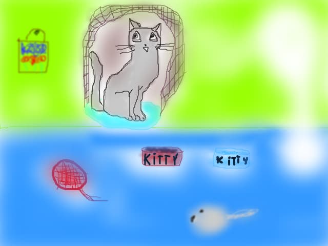 Kitty