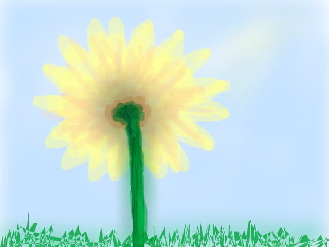 Floare