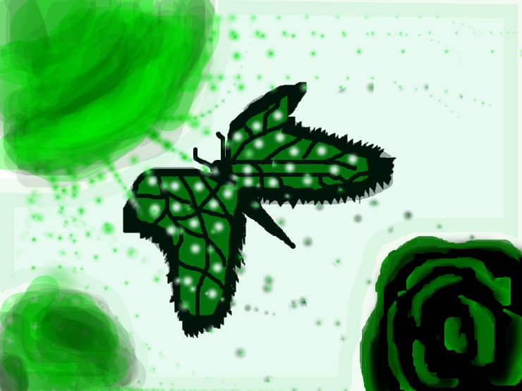 fluture I
