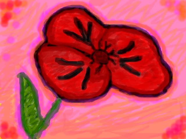 floare mac