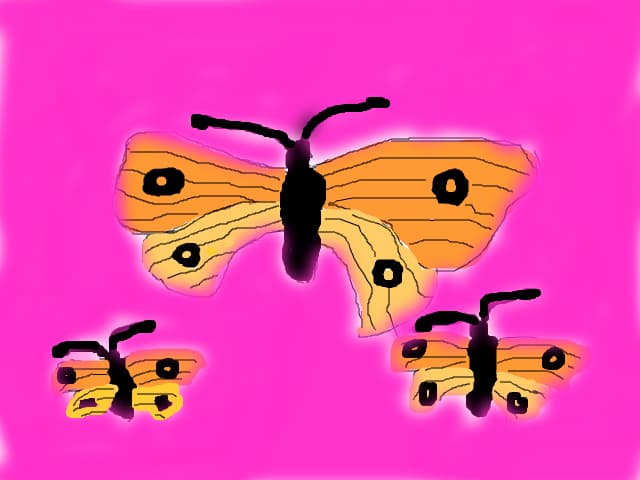 Fluturasi