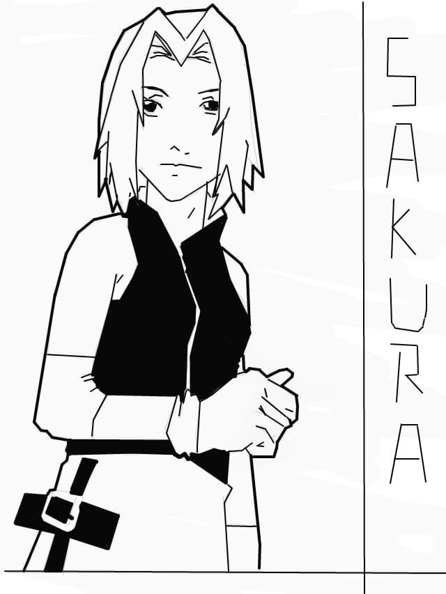 sakura haruno