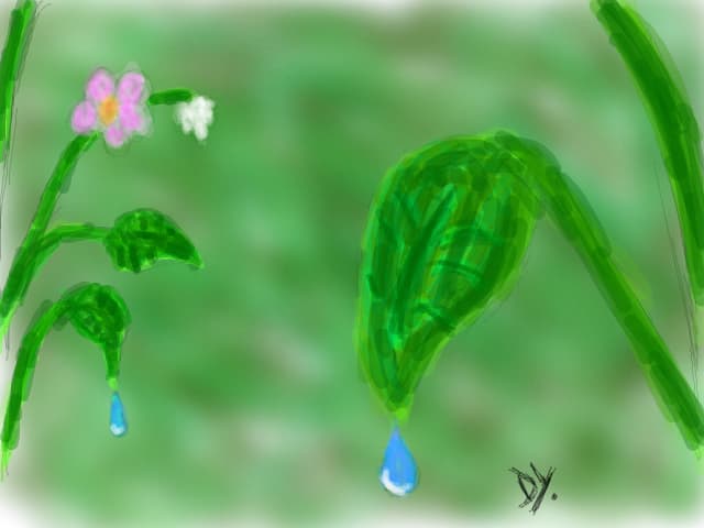 natura...