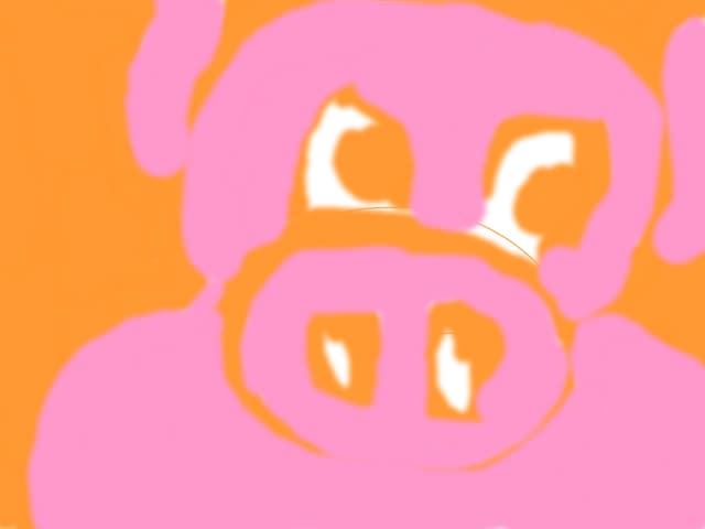 pig