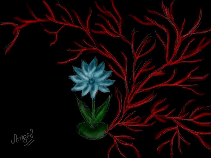 not everything is beautiful and has dark sides