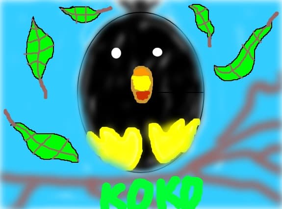 KOKO