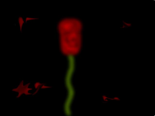 rose
