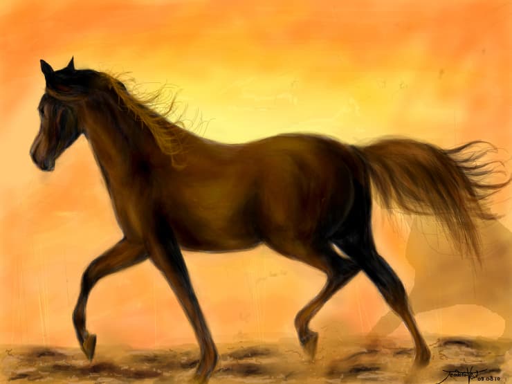pt mamicuta mea, ca nu i-am mai dat desenu de ziua ei(care o fo acu o luna=)) :D