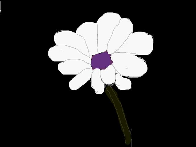 White Flower ..