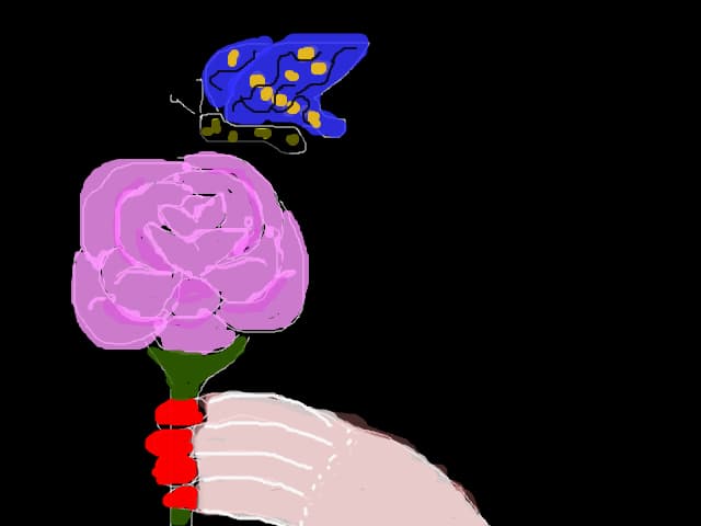 Pink rose and a buterflie