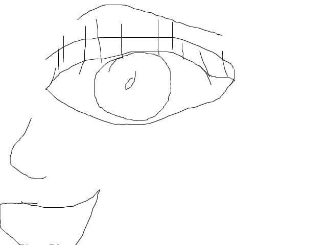 ochi