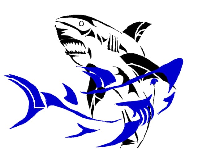 black `n` blue