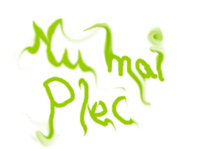 nu mai plecat