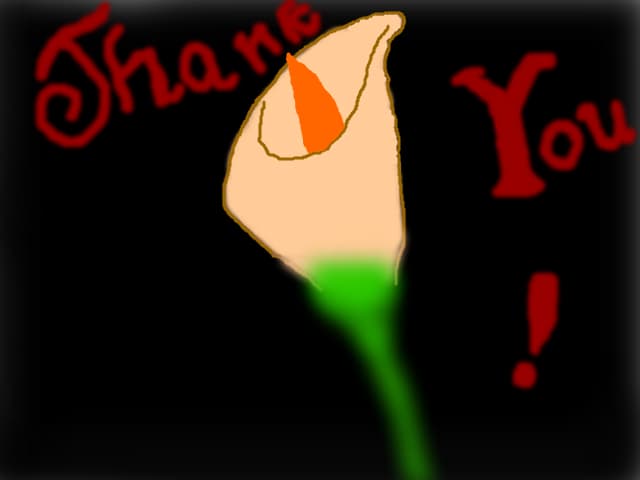 Thank you!