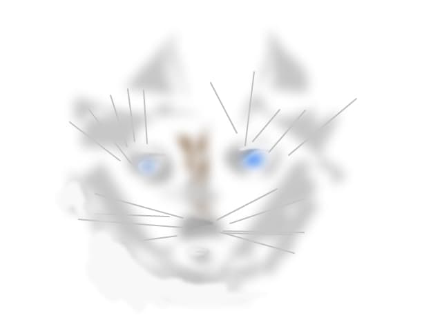 ioioeu