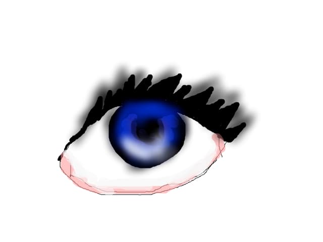 ochi