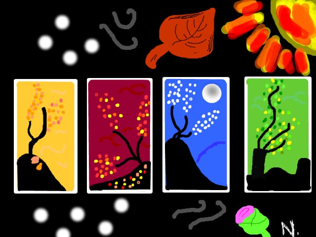 Four Seasons