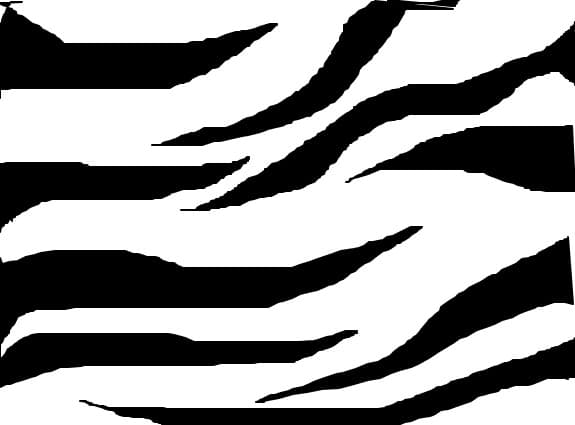 Zebra Print