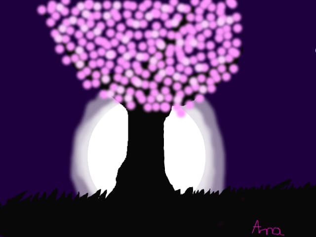 Noaptea un cires extraordinar de frumos:D:D:d