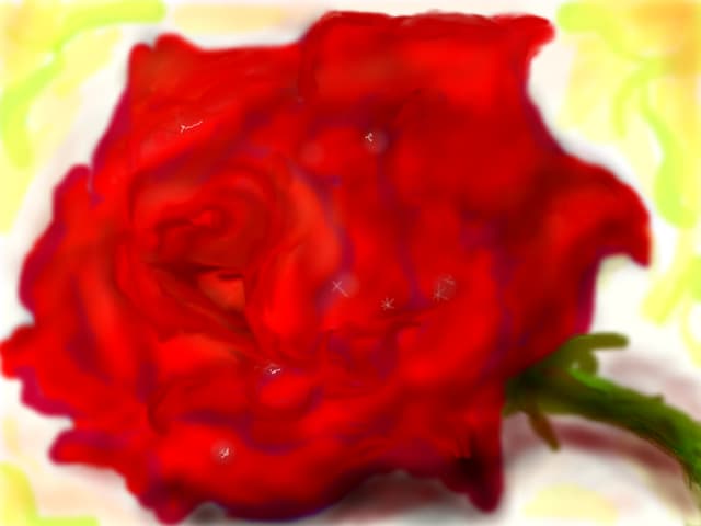 red  rose