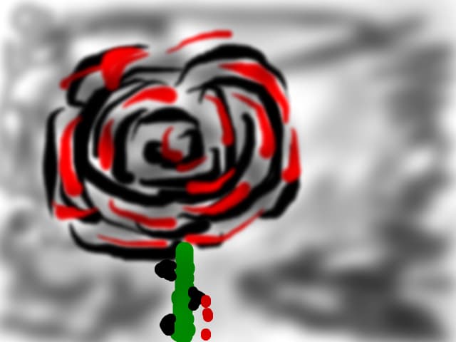 DaRK Rose