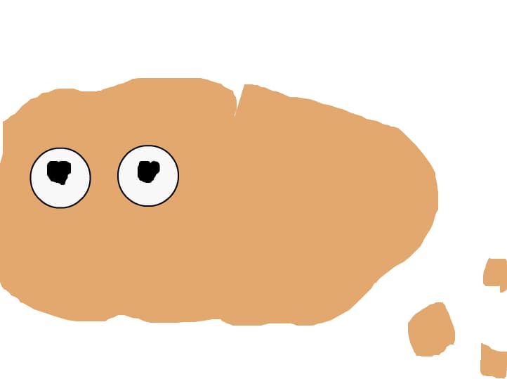 chimci