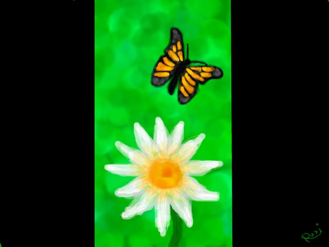 butterfly