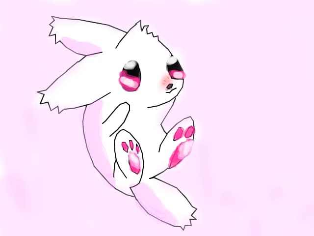Bunny