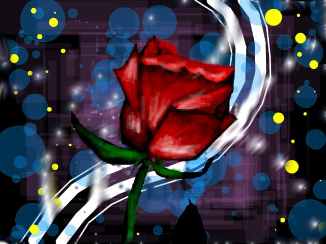rose