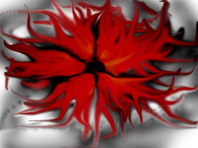 Floare rosie