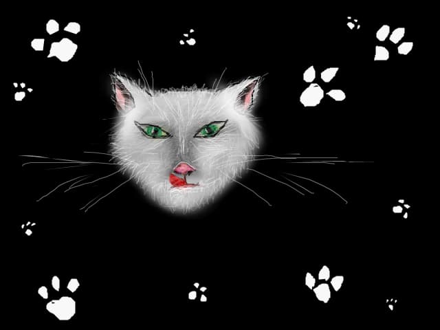 cat